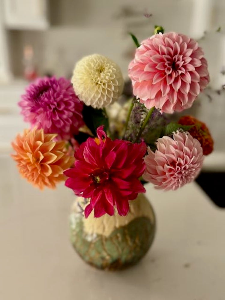 Ball Dahlia arrangement from The May Garden