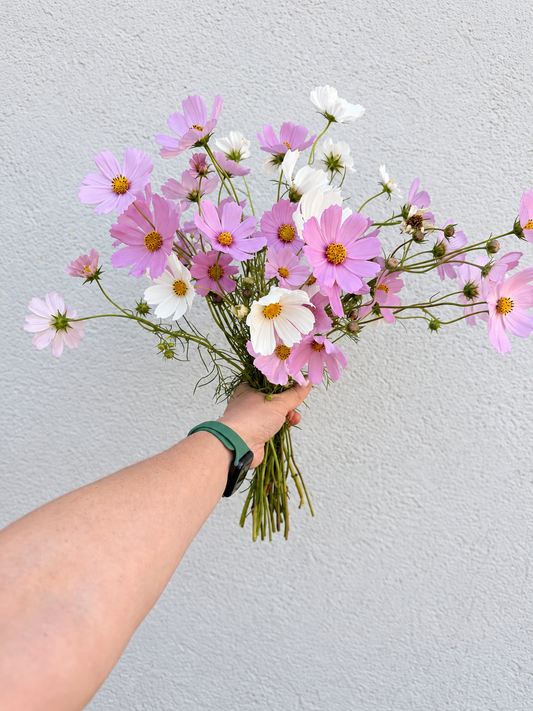Fall Festival Flowers — Preorder